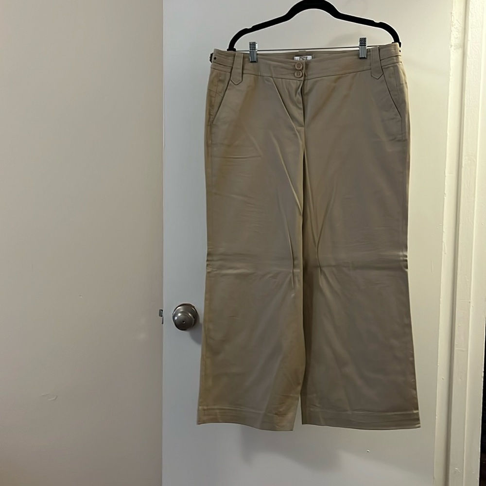 Ann Taylor Loft Tan pants size 14P